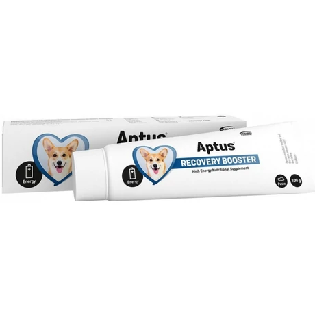 Aptus Recobooster Dog paszta kutyáknak 100g