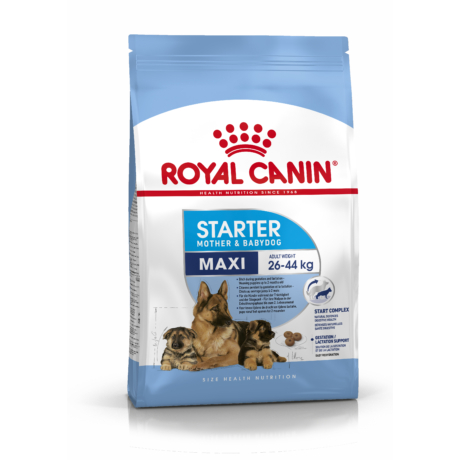 Royal Canin Maxi Starter Mother Babydog 15kg