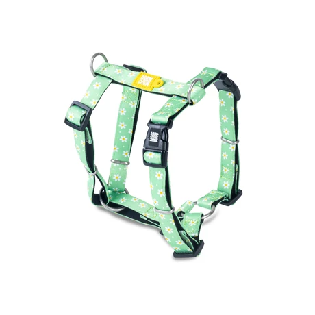 Max & Molly H-hám - Margarite - L