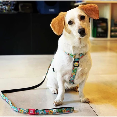 Max & Molly multi-póráz - Donuts - XS