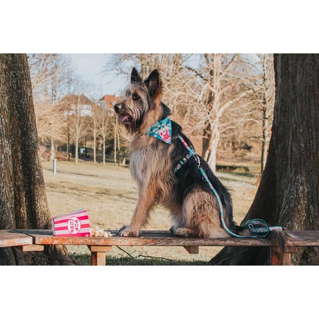 Max & Molly multi-póráz - Popcorn - XS