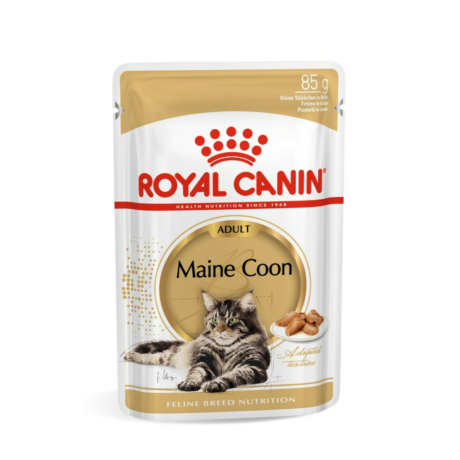 Royal Canin Maine Coon Adult  (12*85G) fajtatáp