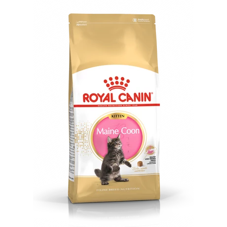 Royal Canin Maine Coon Kitten fajtatáp 400g
