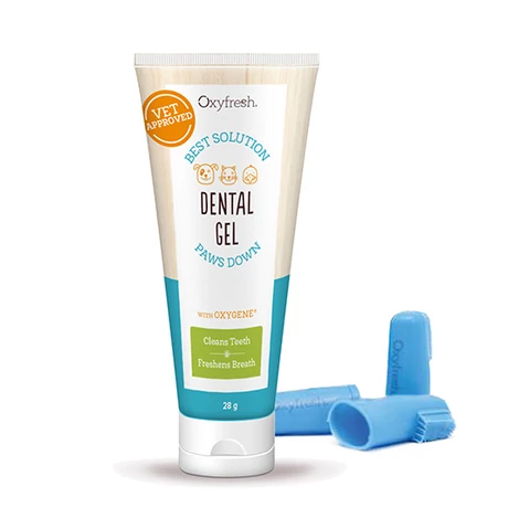 Oxyfresh Dental Kit fogápoló szett