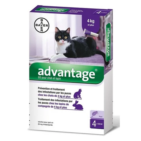 Advantage 80 spot-on macskáknak és nyulaknak 4-8kg között 1db