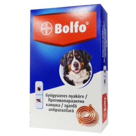 Bolfo 70cm nyakörv kutya