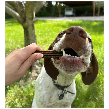 Marly & Dan Dental M - L for Dog 7 Dental Sticks 140g