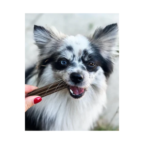 Marly & Dan Dental S for Dog 7 Dental Sticks 100g