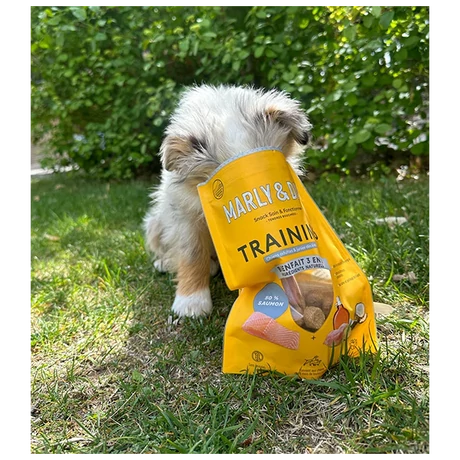 Marly & Dan Training Treats for Dog