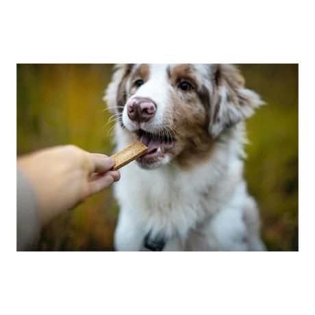 Marly & Dan Energy Treats for Dog