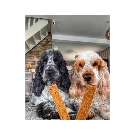 Marly & Dan Hip & Joint Treats for Dog