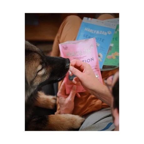 Marly & Dan Digestion Treats for Dogs