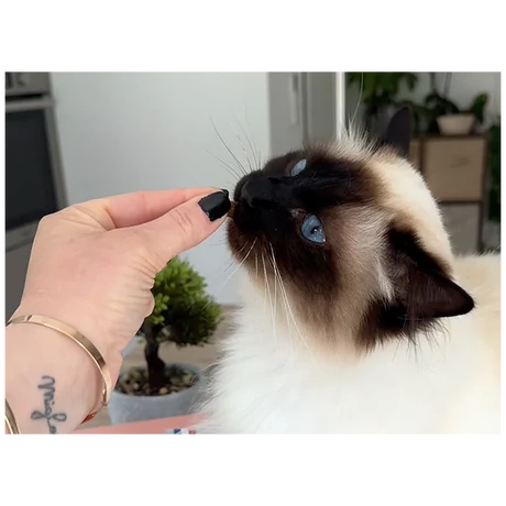 Marly & Dan Hairball Treats for Cat