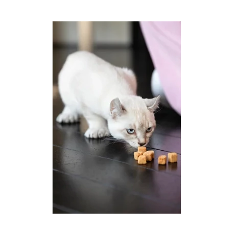 Marly & Dan Booster Omega 3 Treats for Cat