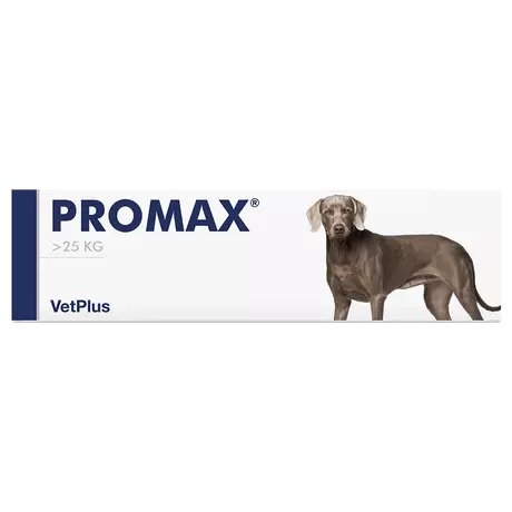 Promax Large probiotikus paszta 30ml