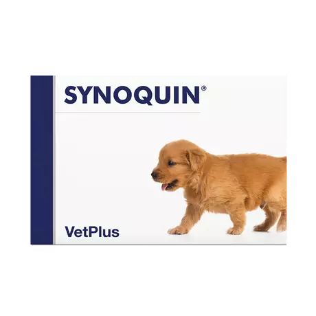 Synoquin Growth puppy 60db