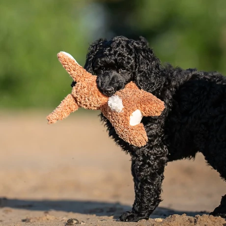 Max & Molly Huggles Toy plüss - Rabbit Lotta
