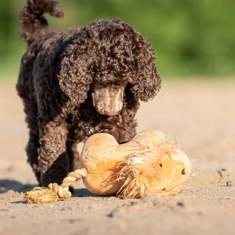 Max & Molly Huggles Toy sípolós plüss - Lion George
