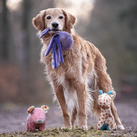Max & Molly Huggles Toy zörgős plüss - Octopus Leila
