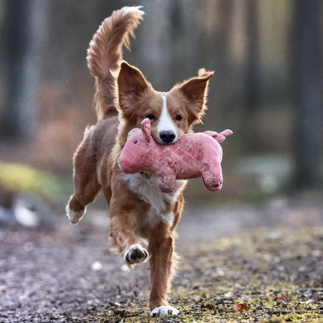Max & Molly Huggles Toy zörgős plüss - Pig Hamlet
