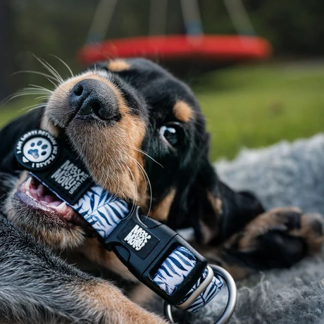 Max&Molly Smart ID Collar nyakörv - Garden