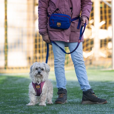 Max & Molly póráz - FC Barcelona - S