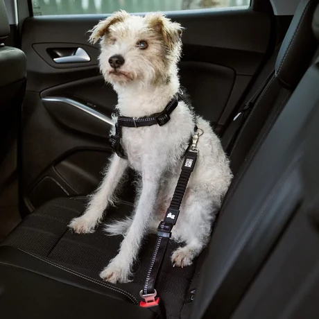 Max&Molly Matrix 2.0 Car Seat Belt biztonsági öv