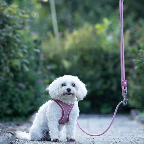 Max & Molly Matrix 2.0 Rope Leash póráz 2m Ø 12mm - Rose/L-XL