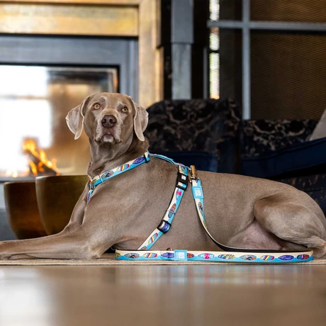 Max & Molly multi-póráz - Aloha - XS