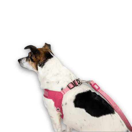 Max&Molly Matrix 2.0 Q-Fit Harness hám - Rose