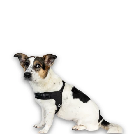 Max & Molly Q-Fit hám - Matrix 2.0 Black - S