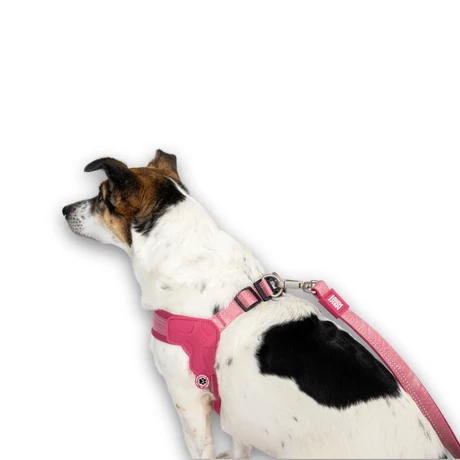 Max & Molly Q-Fit hám - Matrix 2.0 Rose - XS