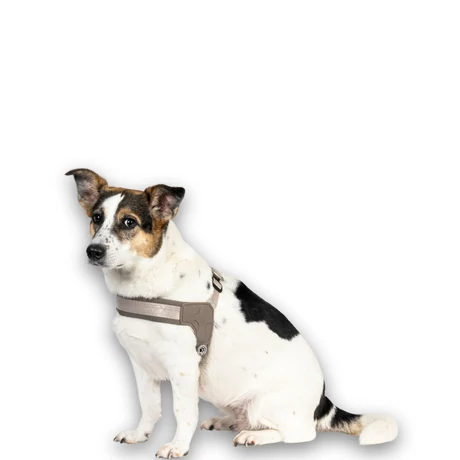 Max & Molly Q-Fit hám - Sand - S