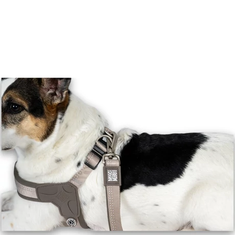 Max & Molly Q-Fit hám - Sand - S