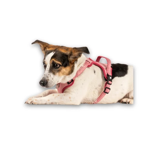 Max & Molly Sporthám - Matrix 2.0 Rose - L