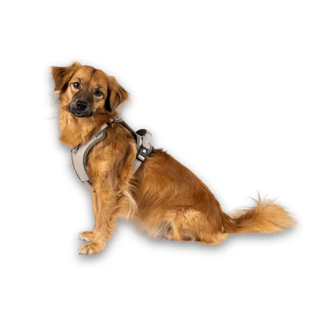 Max & Molly Sporthám - Matrix 2.0 Sand - L