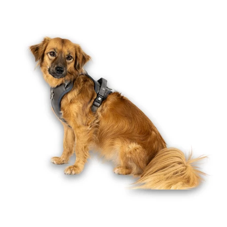 Max & Molly Sporthám - Matrix 2.0 Stone - L