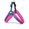Max &amp; Molly Q-Fit Harness - Matrix Pink - XL