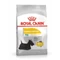 Royal Canin Mini Dermacomfort kutyatáp 3kg