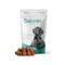 Geloren Dog Large 420g