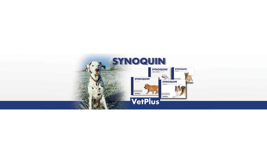 Synoquin – ízületvédelem felsőfokon