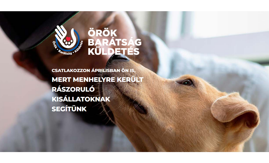 Hill's Örök Barátság Kampány - segíts menhelyi kutyáknak örök otthonra találni!