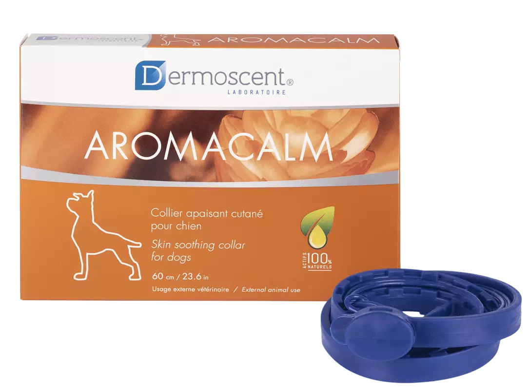 Dermoscent Aromacalm nyugtató nyakörv kutyák részére