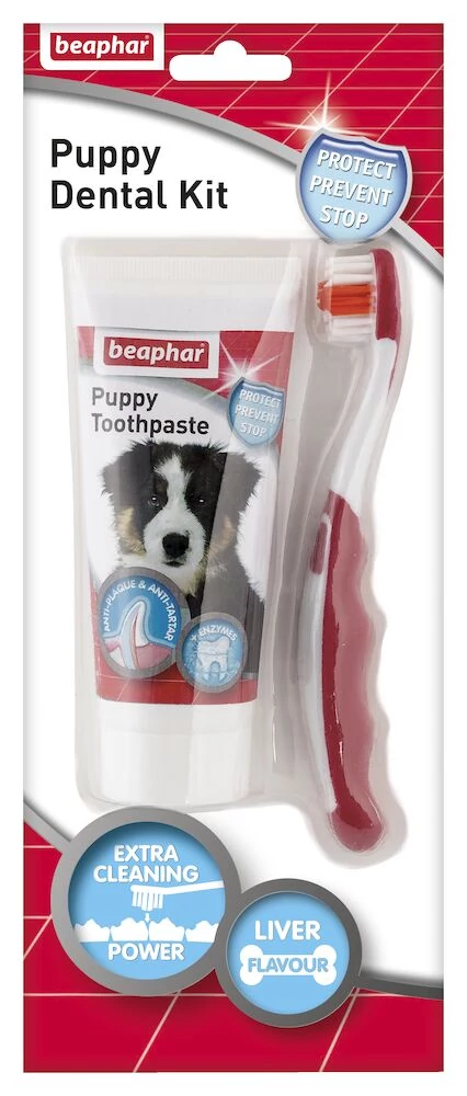 Beaphar Puppy Dental kit fogápoló szett kölyök kutyáknak