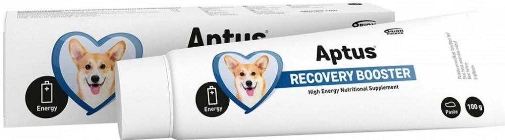 Aptus Recobooster Dog paszta kutyáknak 100g