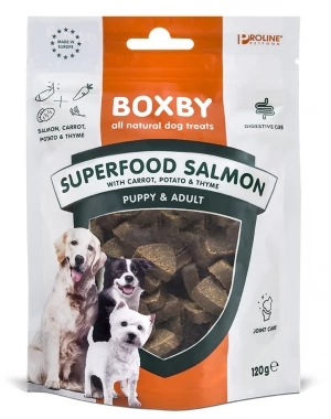BOXBY Super Food Salmon 120g