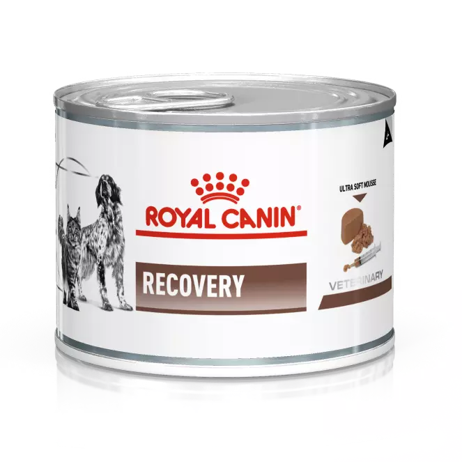 Royal Canin Canine/Feline Recovery Ultrasoft Mousse konzerv 195g