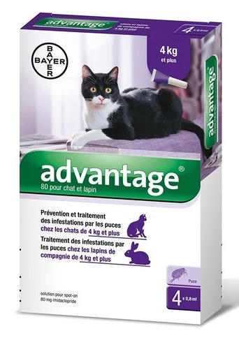 Advantage rácsepegtető oldat macskáknak és nyulaknak 4-8kg között – 1 adag