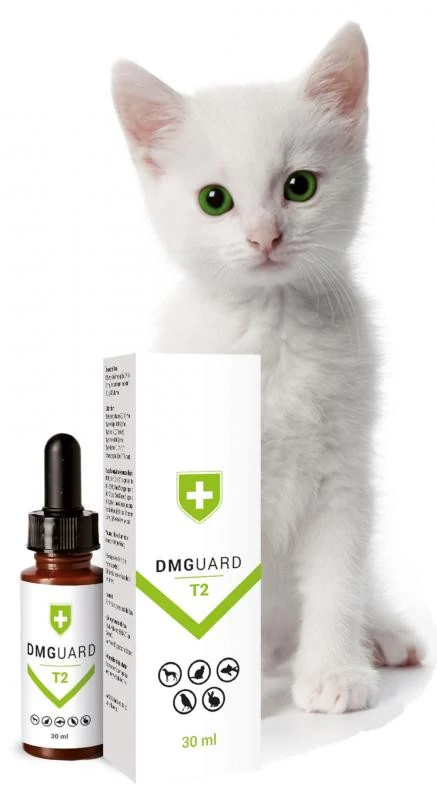 DMGuard T2 immunerősítő macskáknak 30ml